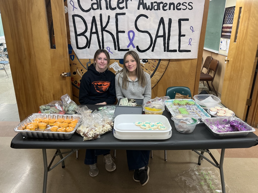 Cancer awareness bake sale - Danica and Makina