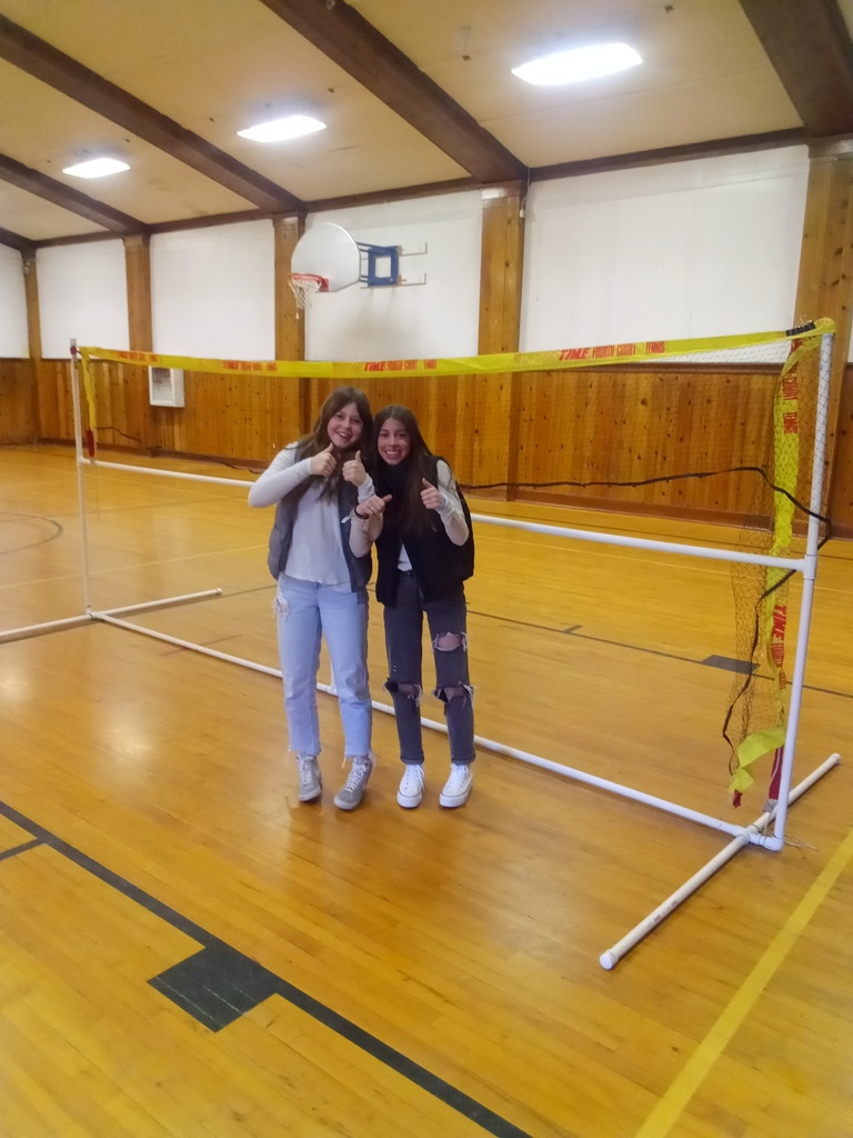 volleyball net